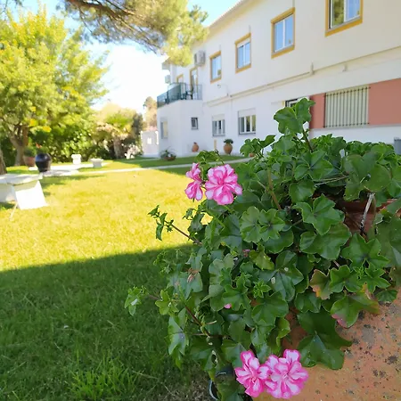 Louro Hotell Óbidos